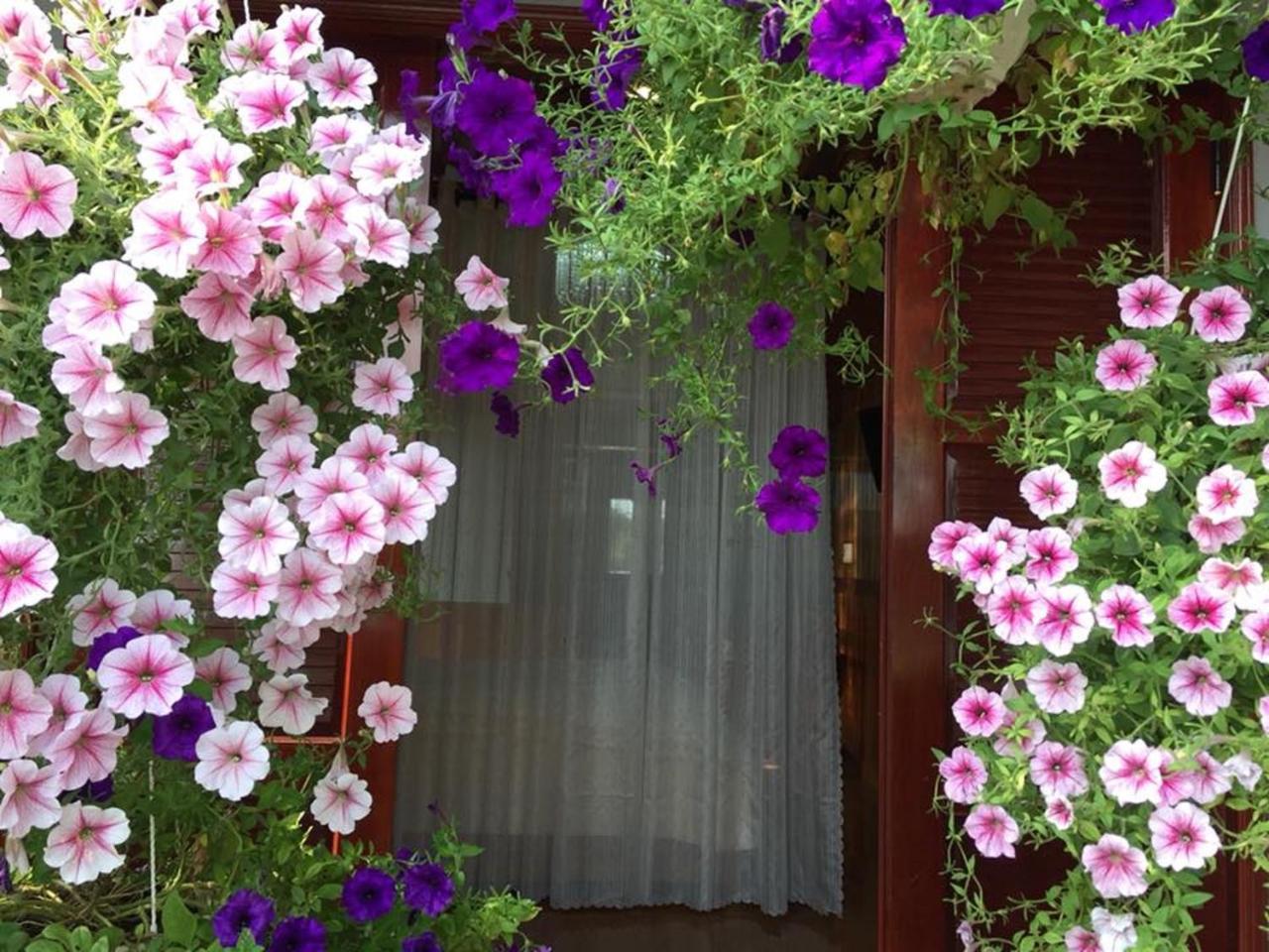 Khamy Riverside Villa Hoi An Dış mekan fotoğraf